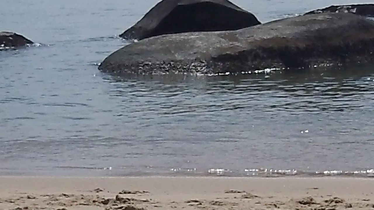 Casa de praia - Foto 3