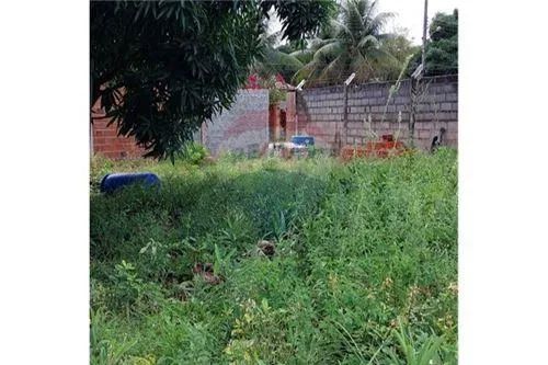 Excelente terreno (chacará) próximo a Massagueirinha - Foto 12