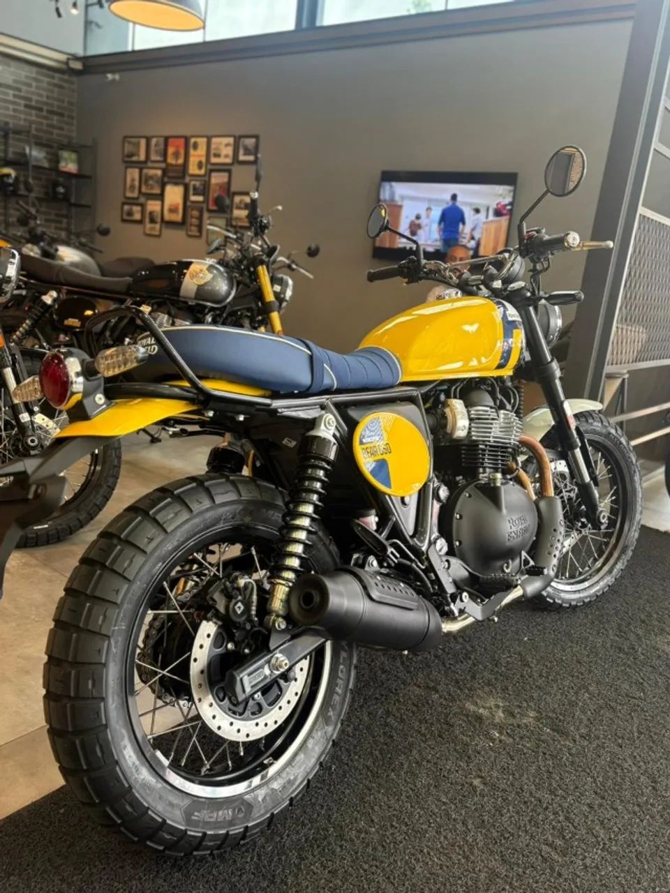 Bear 650 Wild Honey (( Emplacamento de Cortesia )) - Foto 4
