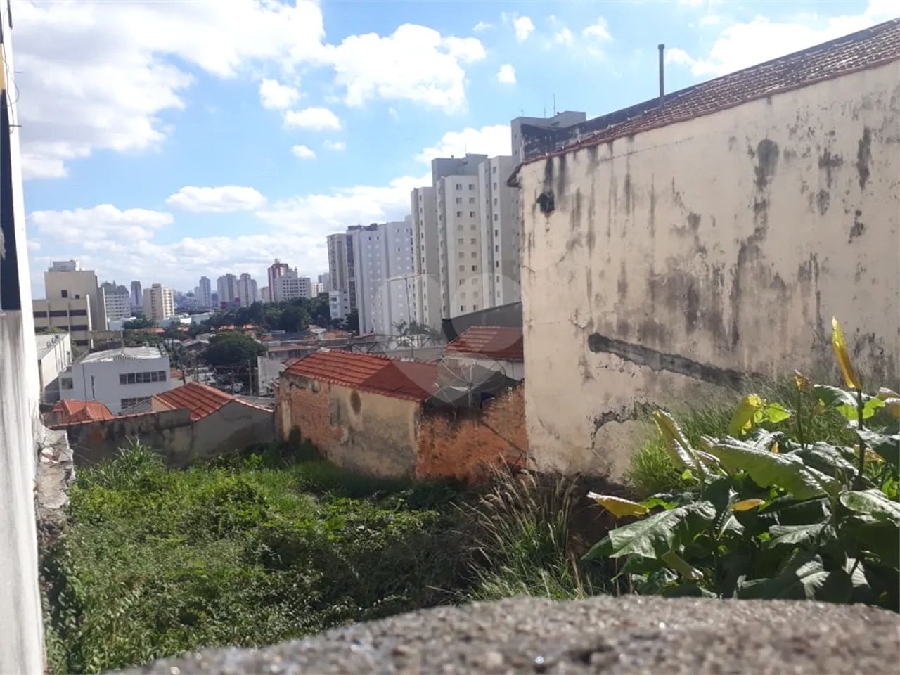 Terreno à venda em Casa verde - SP - Foto 2