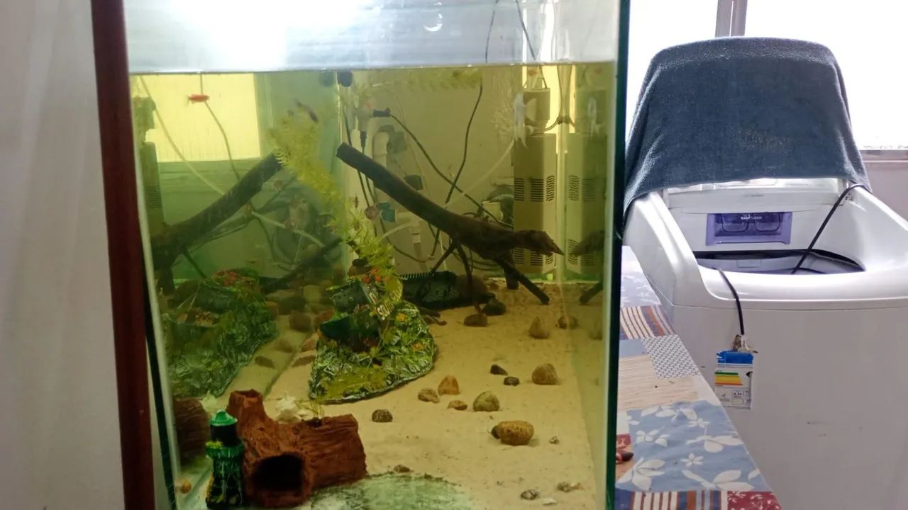 Aquário de 200L com acessórios  - Foto 2