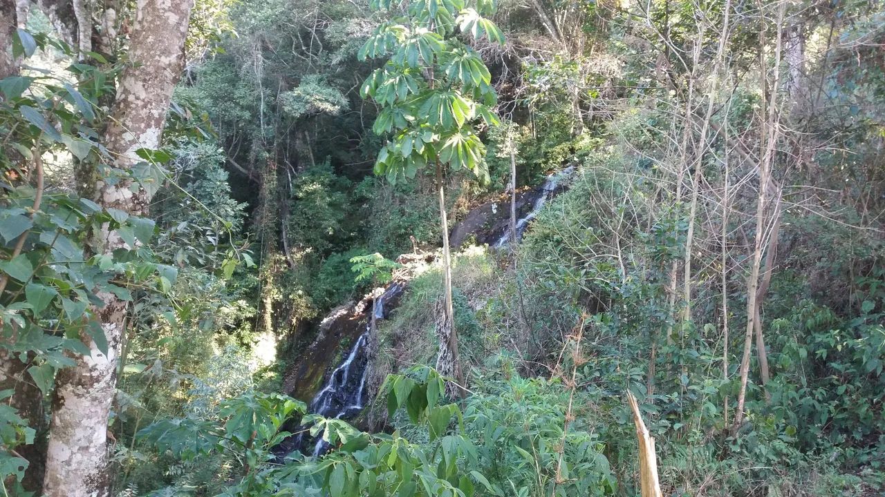 Sítio com cachoeira  - Foto 4