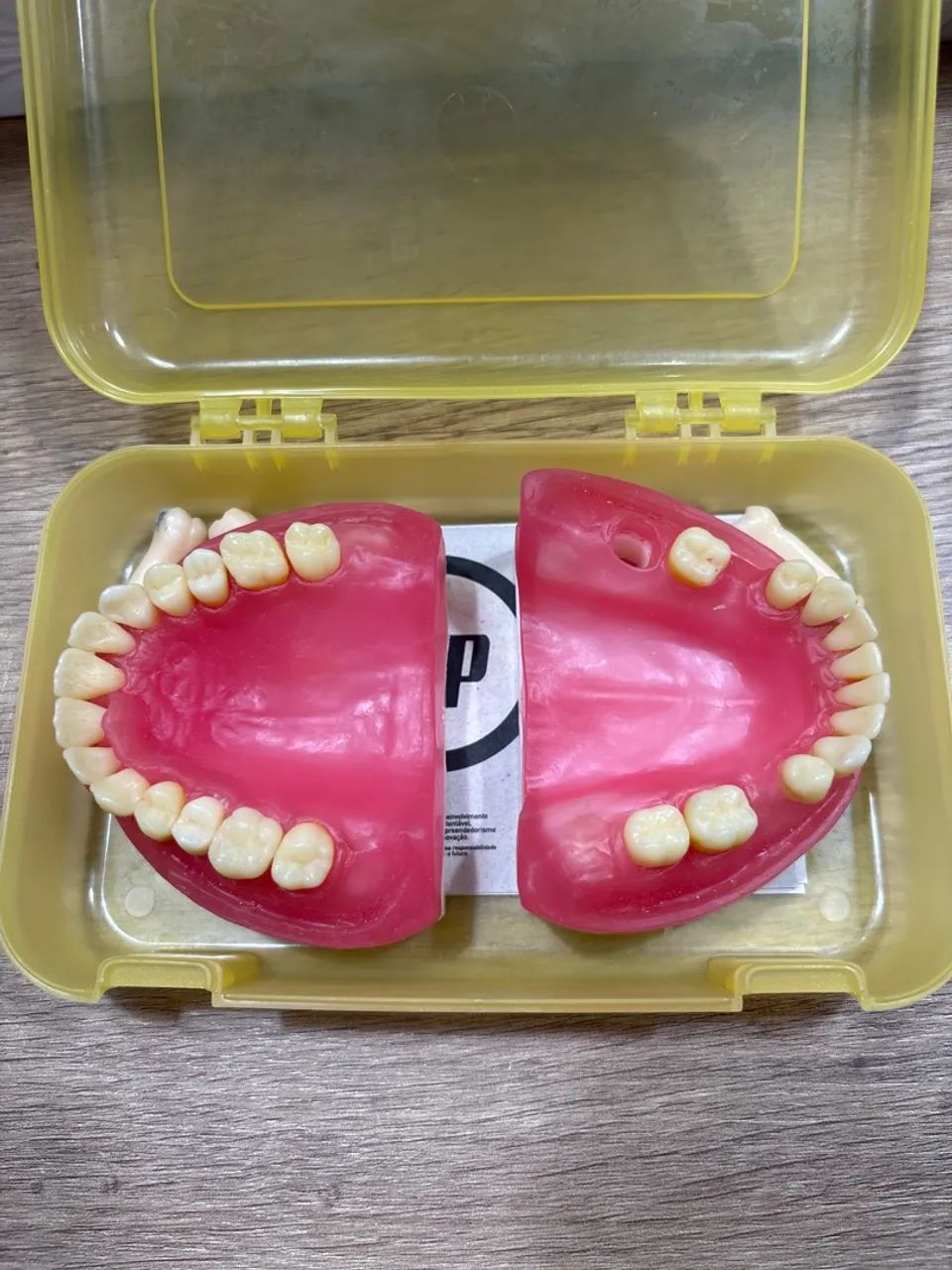 Manequim PRONEW periodontia (refil) 