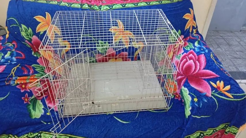 Grade/Cercado para roedores