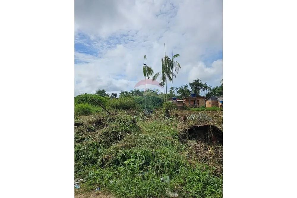 Terreno à Venda em Breves/PA - Foto 2