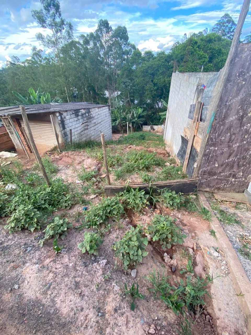 Foto - São Paulo - Colônia (Zona Leste)