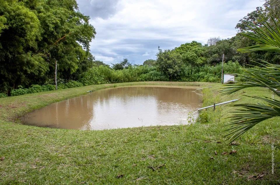 Sítio em Brazlandia -DF, 48ha, escriturado - Foto 12