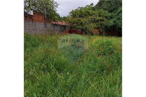 Excelente terreno (chacará) próximo a Massagueirinha - Foto 9