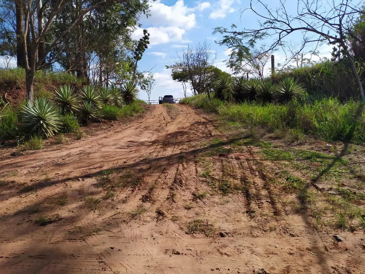 Fazenda em Munhoz de Melo - Paraná