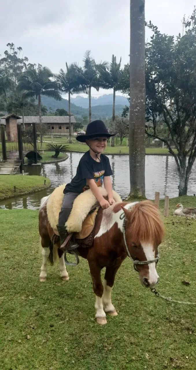 Vendo Pônei 