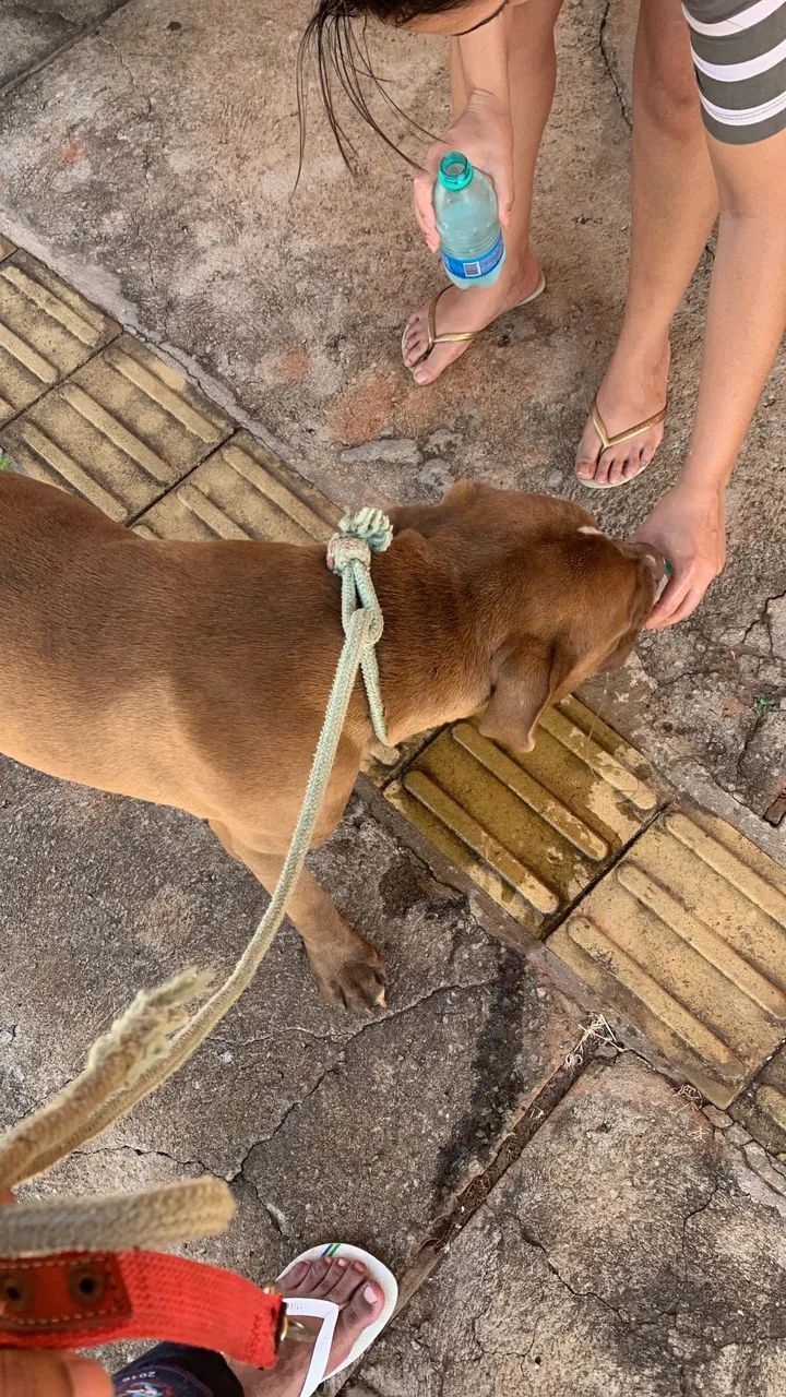 Doação 