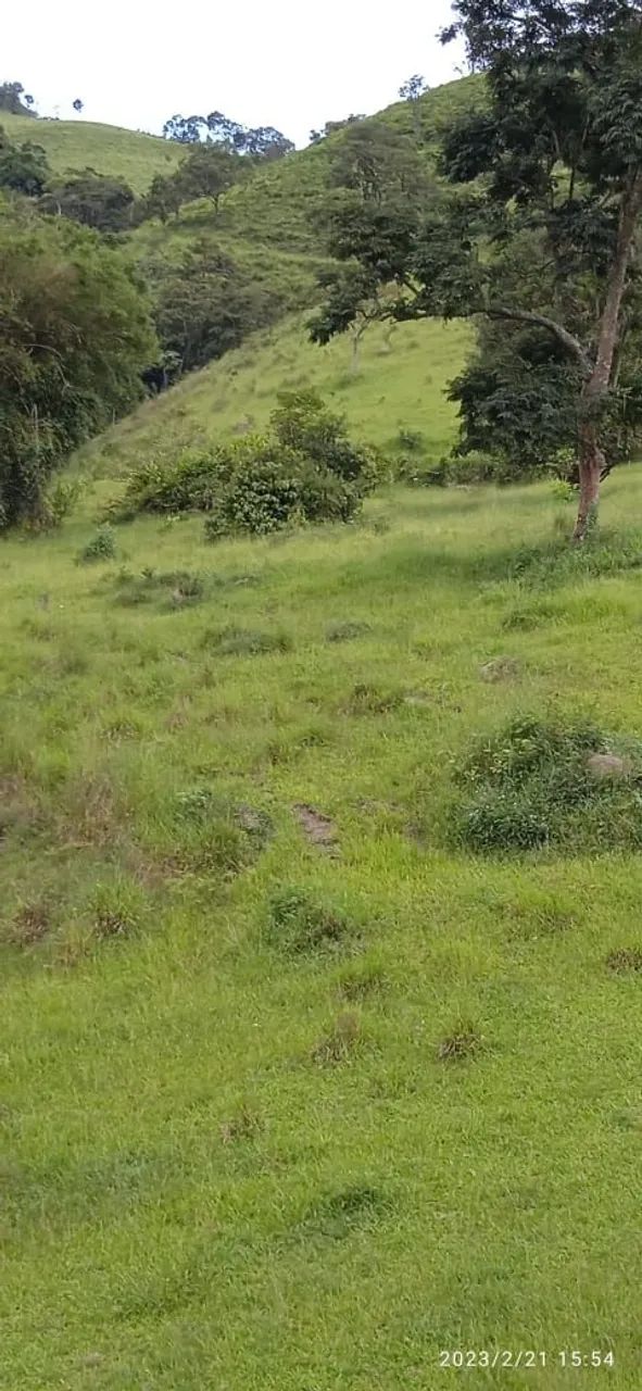 Sítio são Luís do Paraitinga  - Foto 2