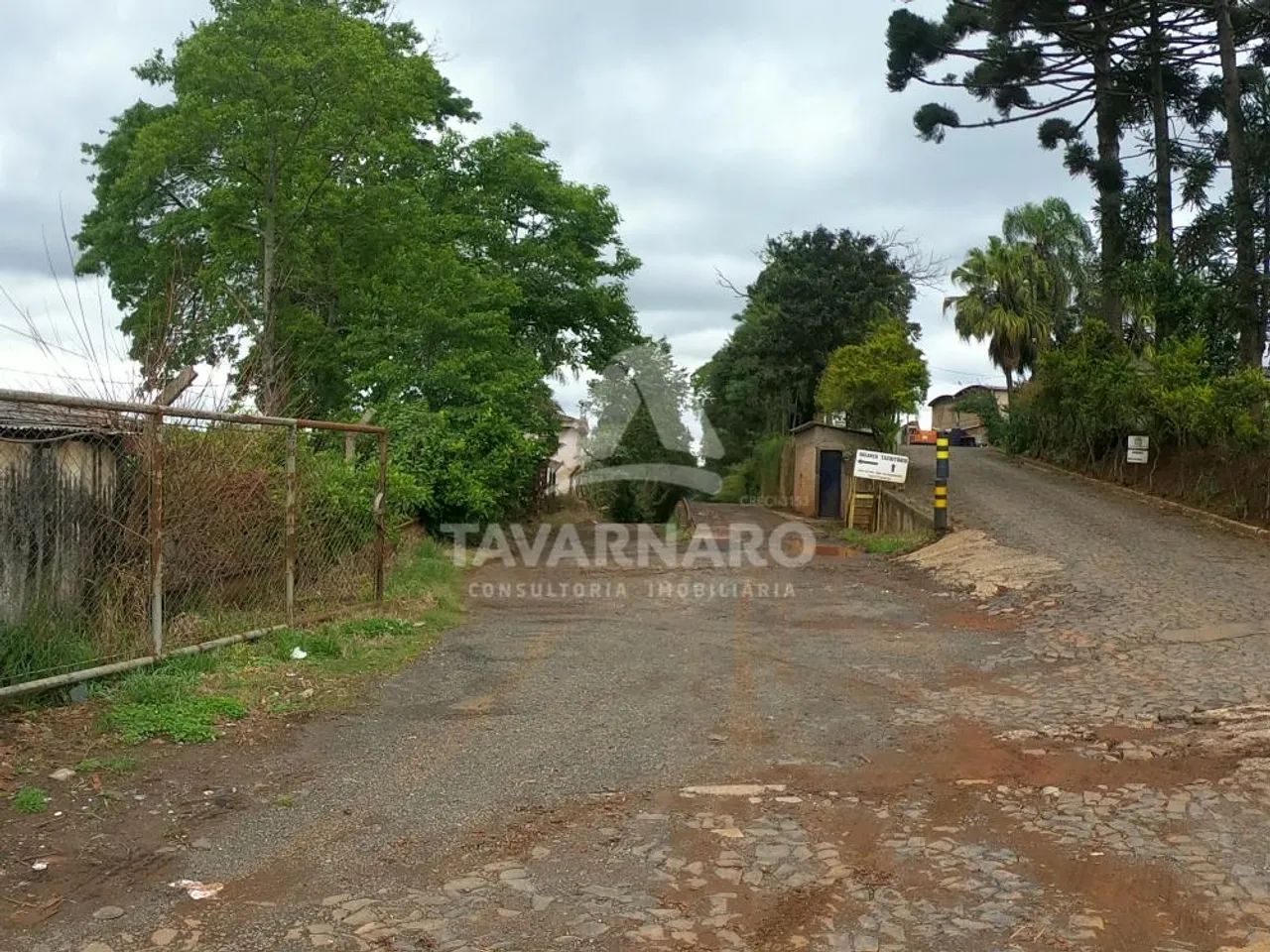 Comercial Barracão em Ponta Grossa - Foto 2