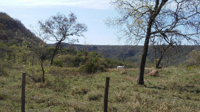 Fazenda 2.125 hectares - Munic. Aquidauana MS - Foto 17