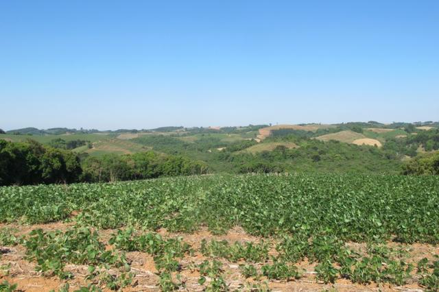Chácara 6 alqueires