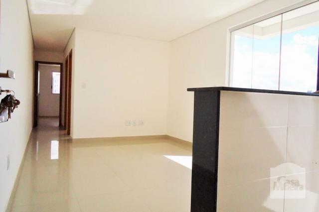 Apartamento à venda com 2 dormitórios em Palmeiras, Belo horizonte cod:249553 - Foto 2