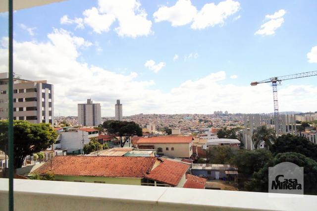 Apartamento à venda com 2 dormitórios em Palmeiras, Belo horizonte cod:249553 - Foto 5