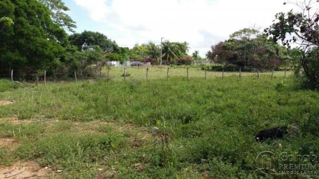Lote no pov. matapuã. bairro mosqueiro - Foto 2