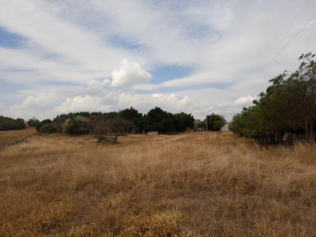 Aviário em Campo Verde/ 7 Hectares - Foto 3