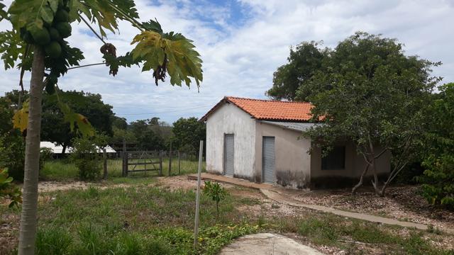 Vendo Fazenda Porteira fechada 80 hectares/DOCUMENTADA - Foto 18