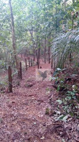Chácara com 3 dormitórios à venda, 20000 m² por r$ 1.350.000,00 - centro - chapada dos gui - Foto 8