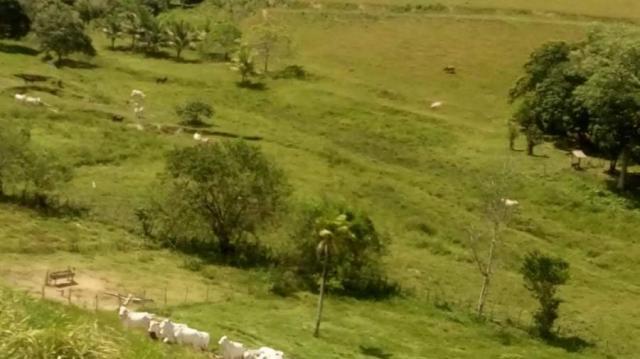 Fazenda para venda em barreiros, barreiros - Foto 2