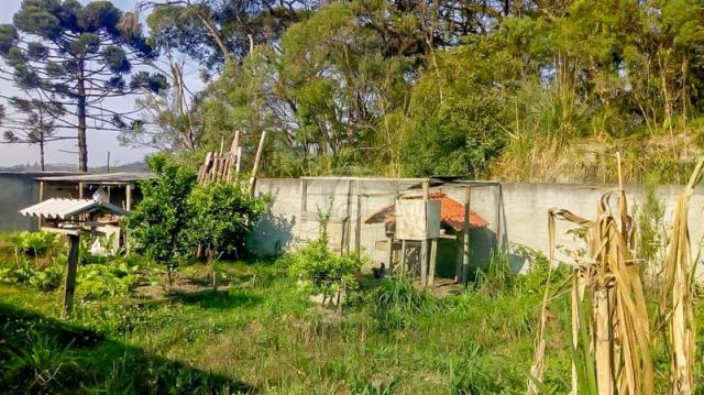 Casa à venda com 4 dormitórios em Centro, Colombo cod:153377 - Foto 10