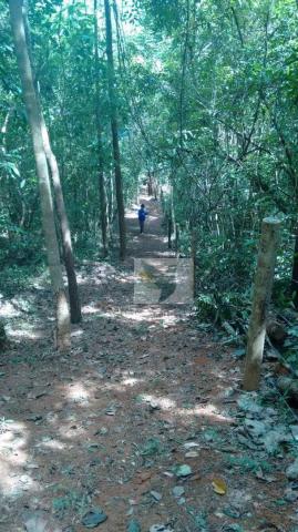 Chácara com 3 dormitórios à venda, 20000 m² por r$ 1.350.000,00 - centro - chapada dos gui - Foto 9