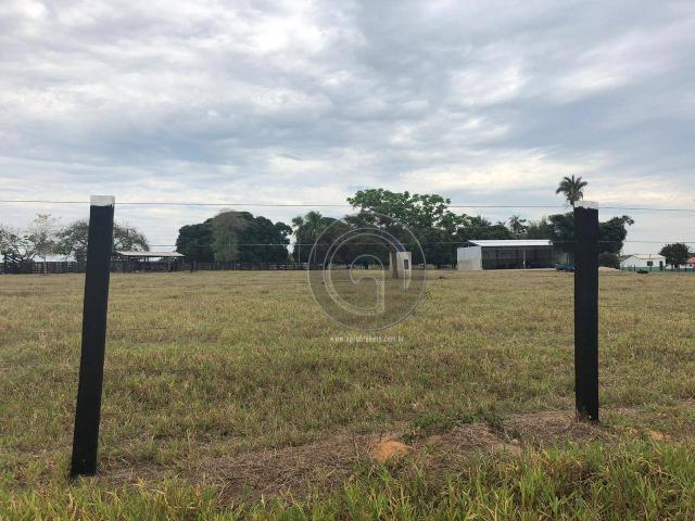 Fazenda 330 ha região chumbo poconé - Foto 5