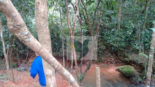 Chácara com 3 dormitórios à venda, 20000 m² por r$ 1.350.000,00 - centro - chapada dos gui - Foto 10