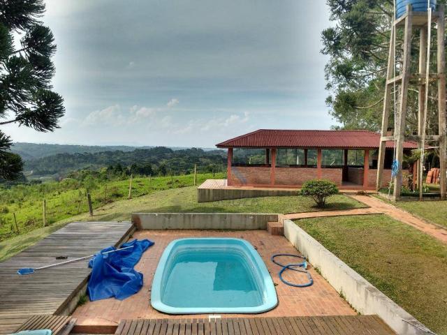 Chácara 266200m² Palmitalzinho - Foto 3