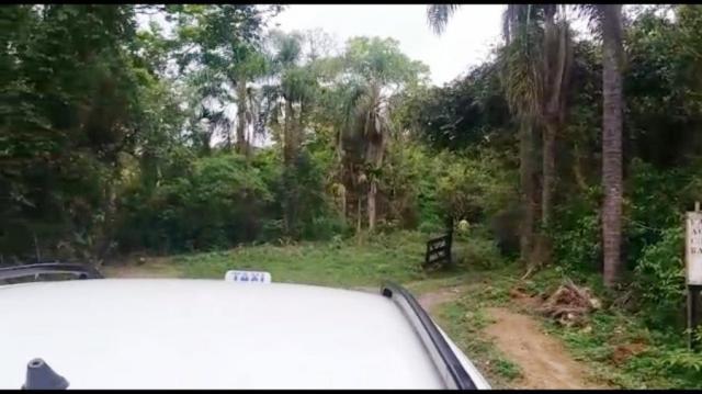Chácara para venda em campina grande do sul, barra da cruz - Foto 13