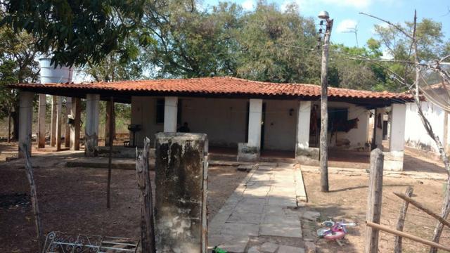 Fazenda em José de Freitas-PI