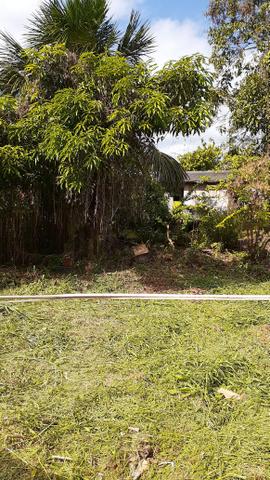 Vendo terreno no portal da Amazônia próximo ao jequitibá - Foto 4