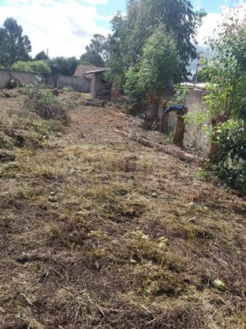 Terreno para venda em quatro barras, jardim das acácias, 2 dormitórios, 1 banheiro - Foto 2