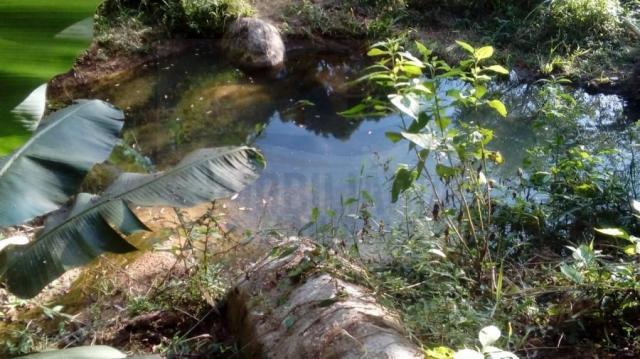 Chácara para venda em campina grande do sul, br 116 - Foto 4