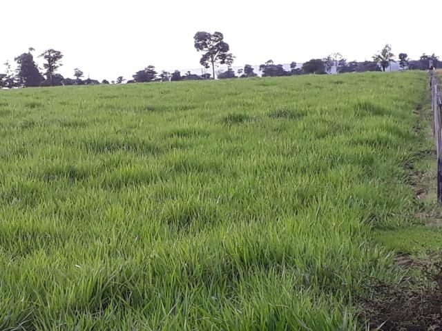 Fazenda em Arenapolis Mato Grasso Terra de Cultura - Foto 7
