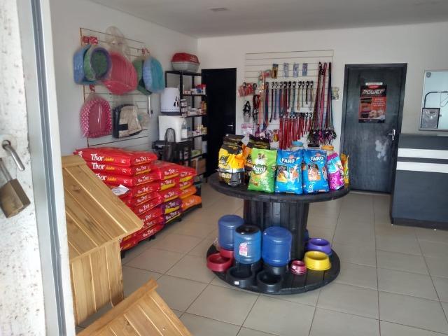 Vende-se este pet shop - Foto 7