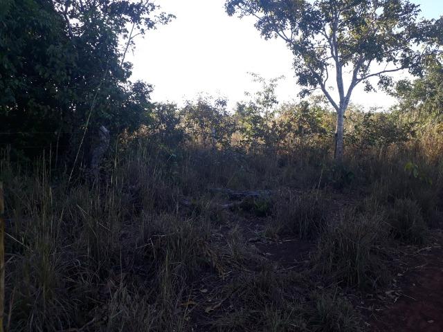 Chácara (38 hectares) a 11 km de Acorizal - Foto 9