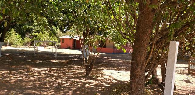 Venda de chácara - Foto 2