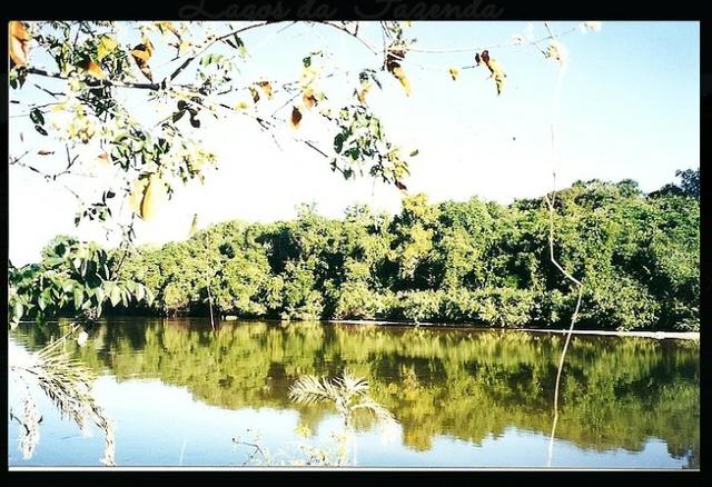 Fazenda em Mato Grosso divisa com Goias com 10.257 hectares - Foto 8