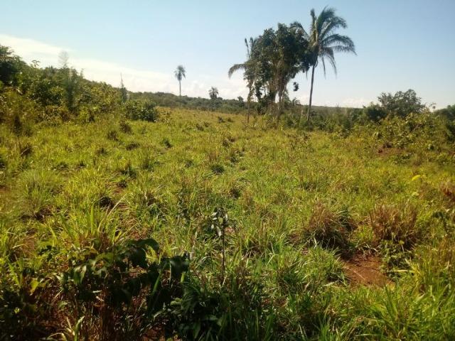 Chácara (38 hectares) a 11 km de Acorizal - Foto 16