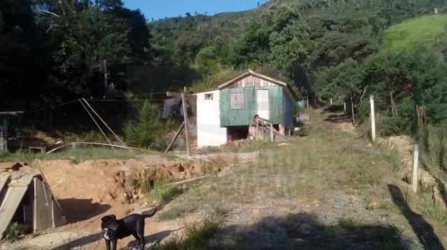 Chácara para venda em campina grande do sul, br 116 - Foto 7