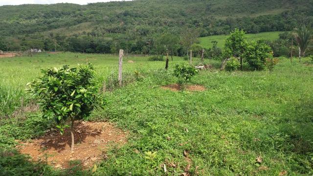 Chácara no vale do são vicente - Foto 10