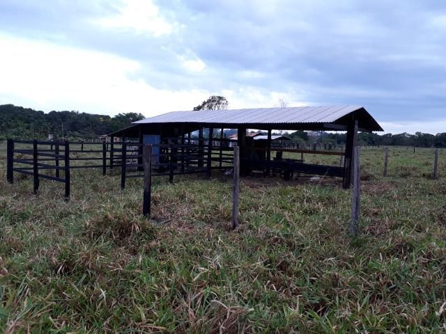 3.82 hectares a 12 km de Castanhal por 220 mil reais Documentada - Foto 8
