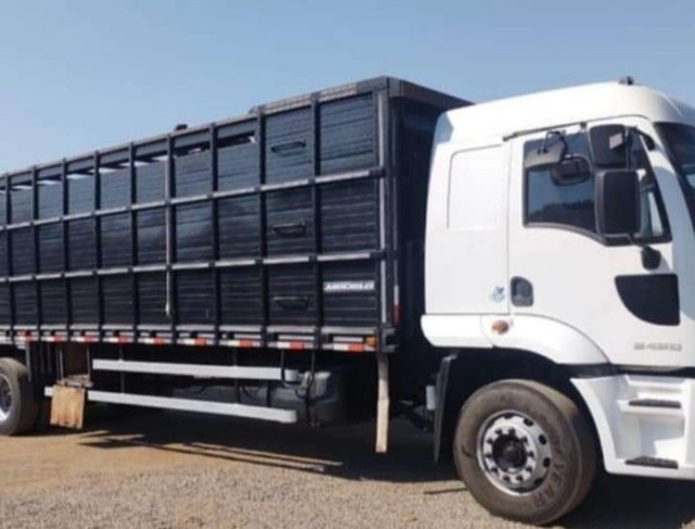 CARGO2429 FORD- 17/17