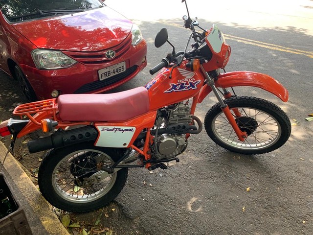 XLX 250