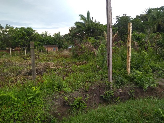 Terreno no pindaí  15 X 28 -próximo portal do paço, poste vermelho e ubs do pindai - Foto 2