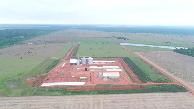 6.691 alqueires em Brasnorte 
