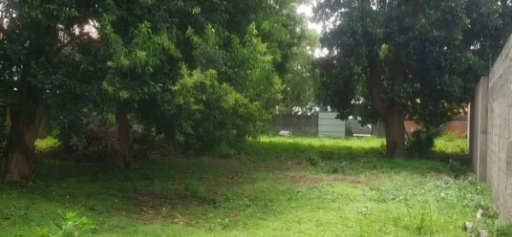 Terreno à venda em Presidente Altino, Osasco - Ótima localização e infraestrutura! - Foto 3